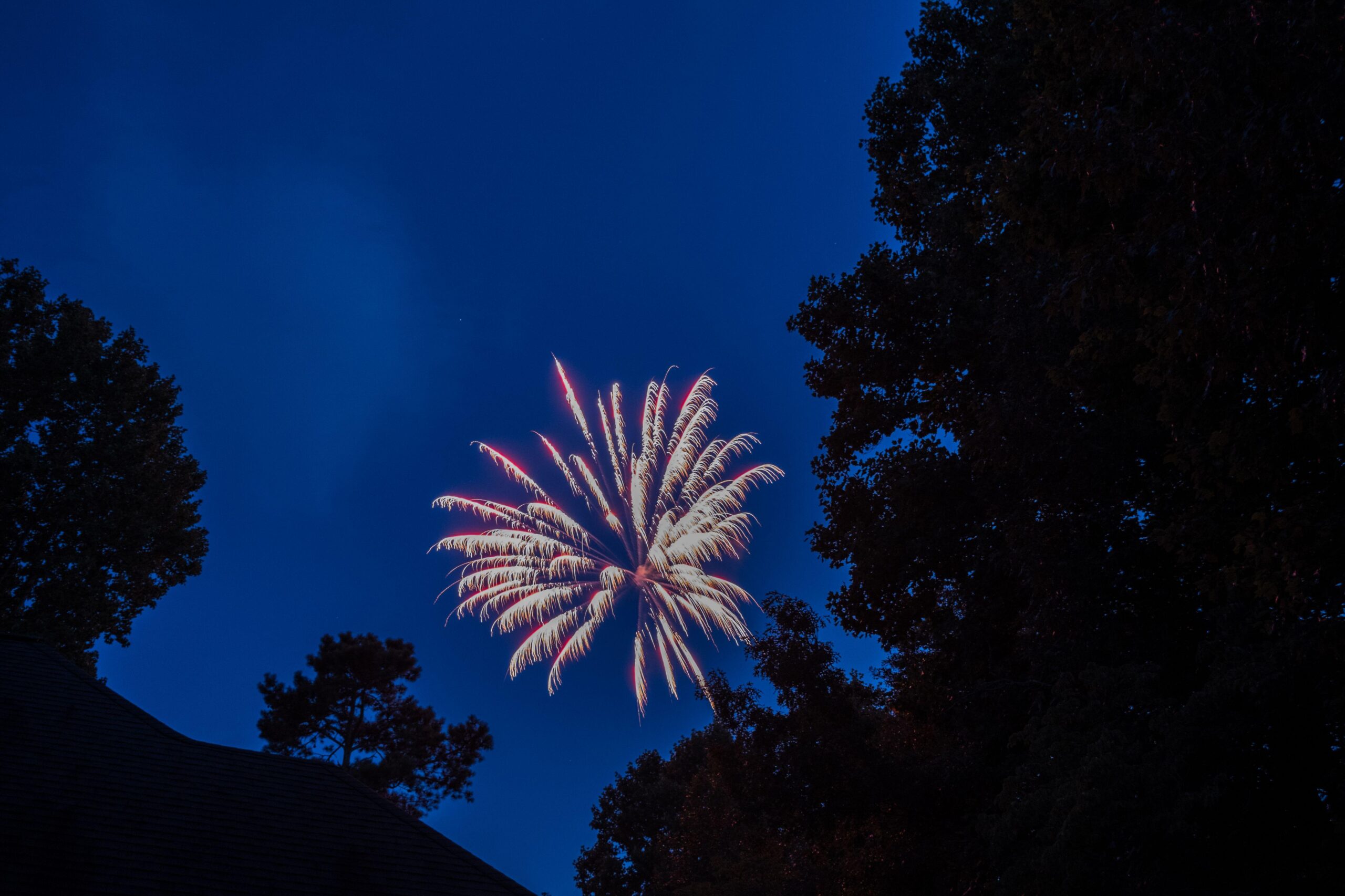 Red, White, and Exploding: States With the Highest 4th of July Fireworks Risk article feature image