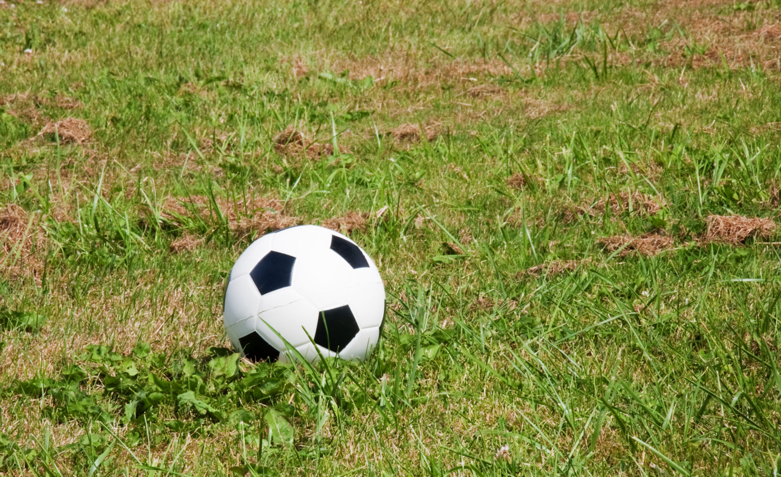 AI Predicts The Winner Of The 2026 World Cup article feature image