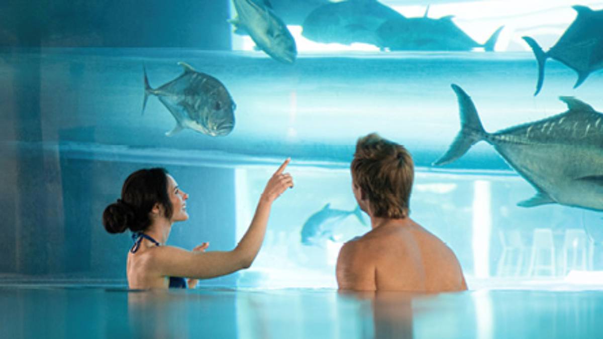 The Tank pool complex at Golden Nugget Las Vegas with its shark aquarium and waterslide