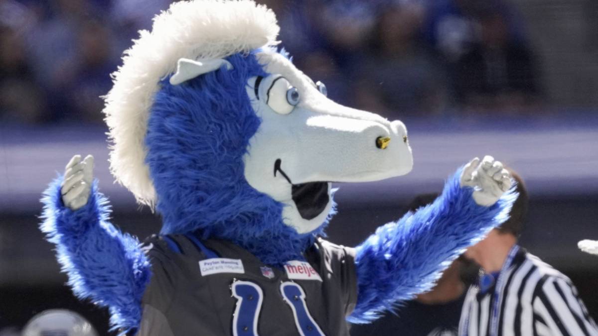 Blue, the Indianapolis Colts mascot.